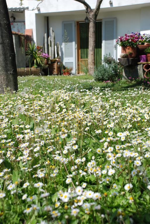 Bed And Breakfast Il Girasole Lamporecchio Bagian luar foto